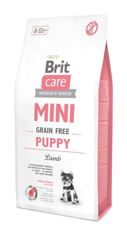 BRIT Care dog MINI GF PUPPY lamb - 2kg