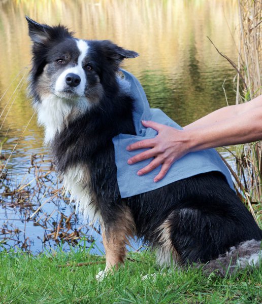 Trixie   dog TOP-FIX vysoušecí ručník 50x60cm